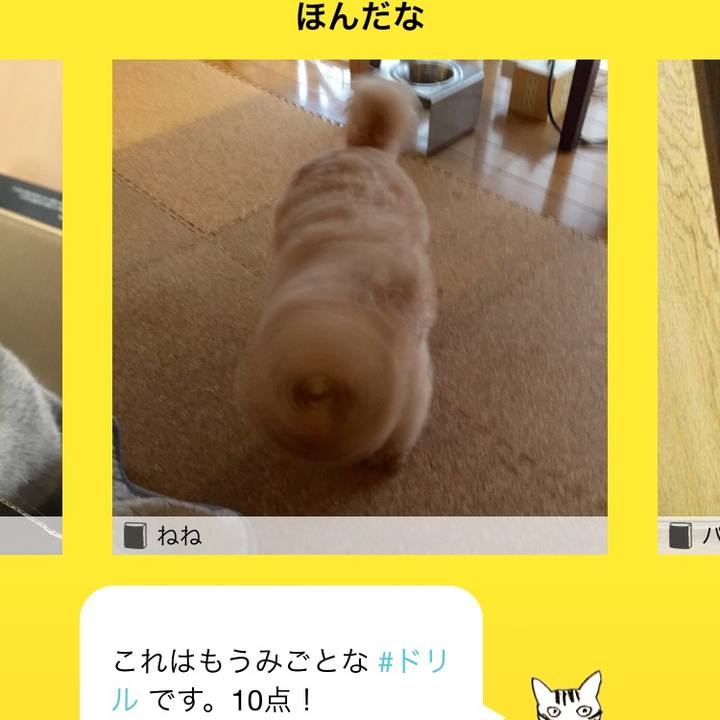 54adf12c 37f4 4181 843e 24f83a3bbd97