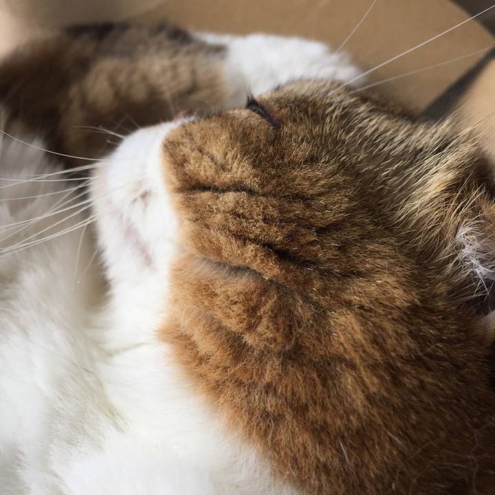 54ae13b1 880d 4e16 83c3 a63d6f56f419