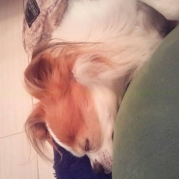 54aed2c1 5c67 4b9d 962d 82e3a2735442