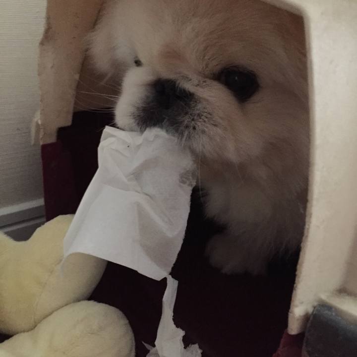 54af3566 ee99 4251 be19 85b3301b590d