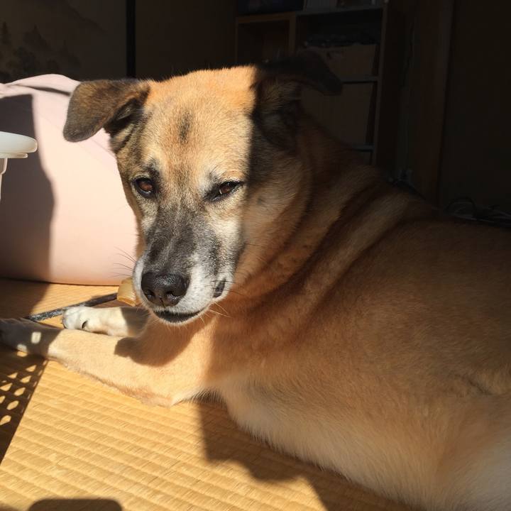 54af4698 65b3 48b5 b86c 4923742ecd5b