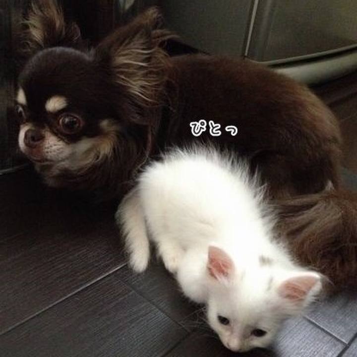 54af546e 19b5 4262 b2a1 6e86efa71c2d