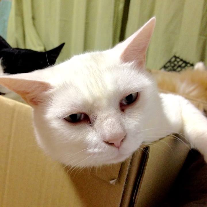 54af7ed9 a392 4eb6 bac5 c06f19cd2dbd