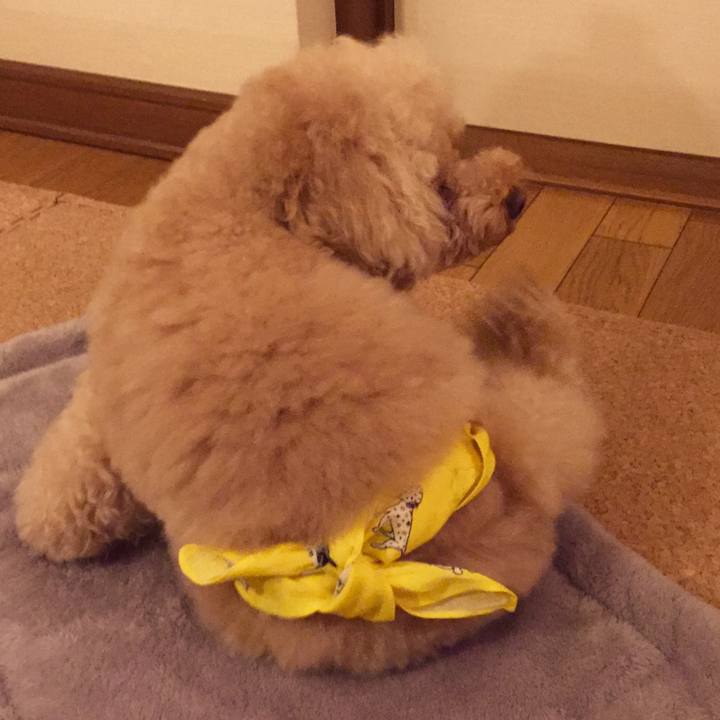 54b0369b 8387 4558 a85e dc2af40d345e