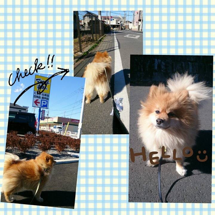 54b0f87b 5283 43f3 a84a d14b353af18b