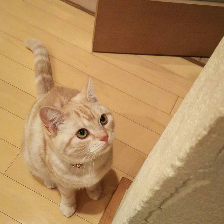 54b16529 741e 428d a332 2a1f22bf0285