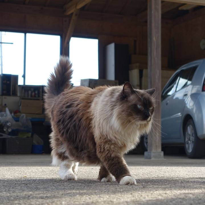 54b1e1a0 373f 4b9a 9c58 c406cb1e75c3