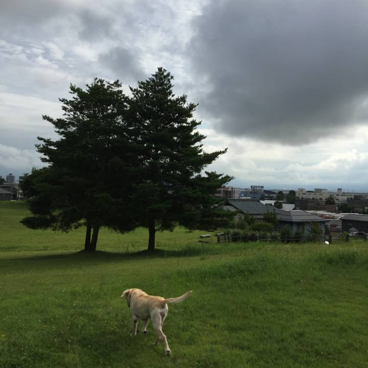 54b1eb3d 2c9a 4ab4 a016 0e12d6c2c38e