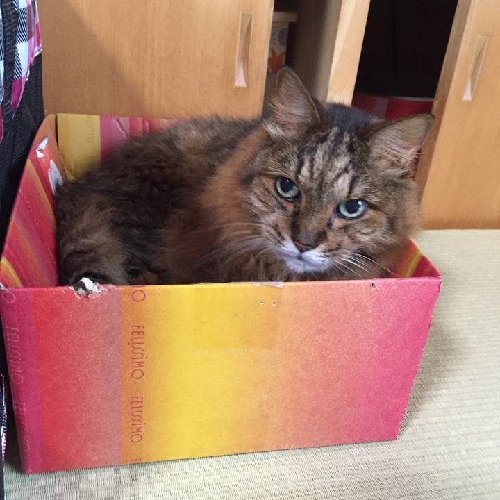 54b20652 0a81 4cc7 bce2 8e42892c188b