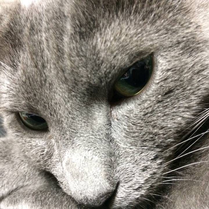 54b27069 6a02 41e0 9b4b aa3d27b30066