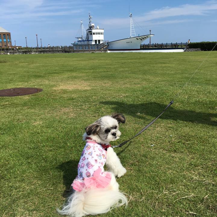 54b34f71 73cc 4b51 a0a8 dfbee059bed5