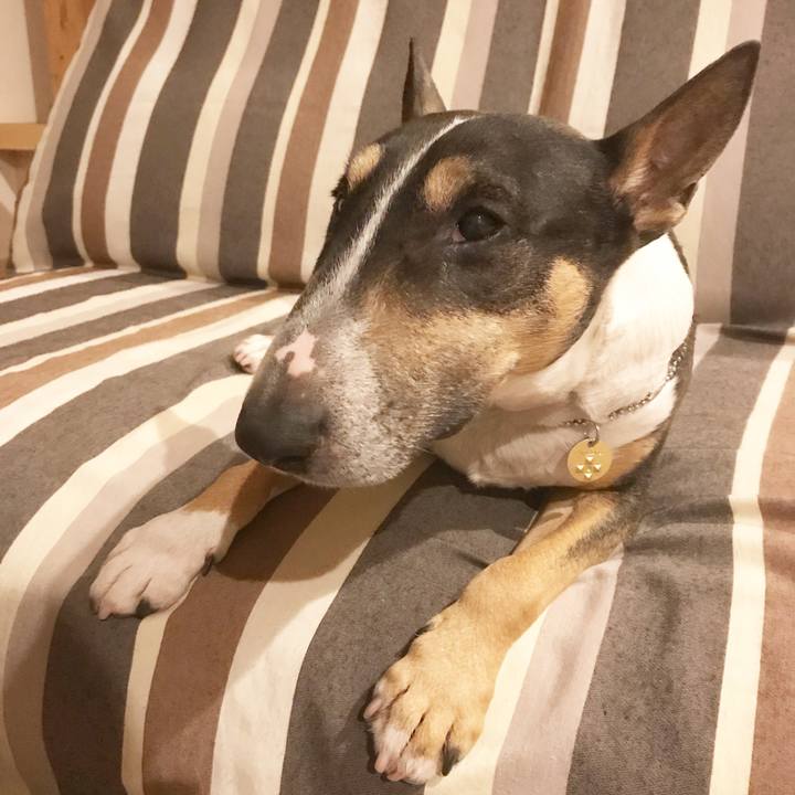 54b3bdec c838 42be 8d34 763910a29e6b