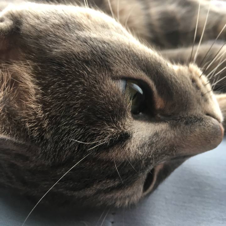 54b3cd0e a474 4446 b921 21fb88ad5ed8