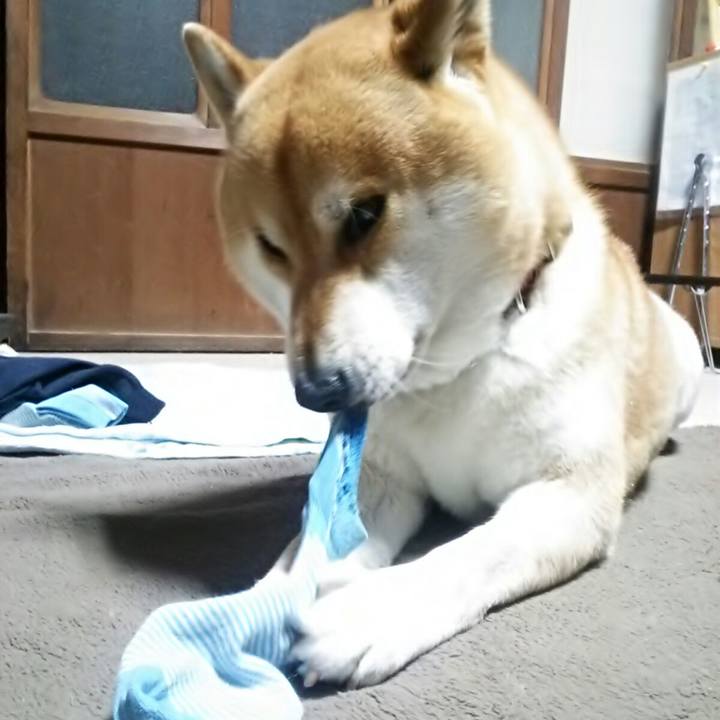 54b44333 c0a8 49d2 b737 d12ec0dcaff8