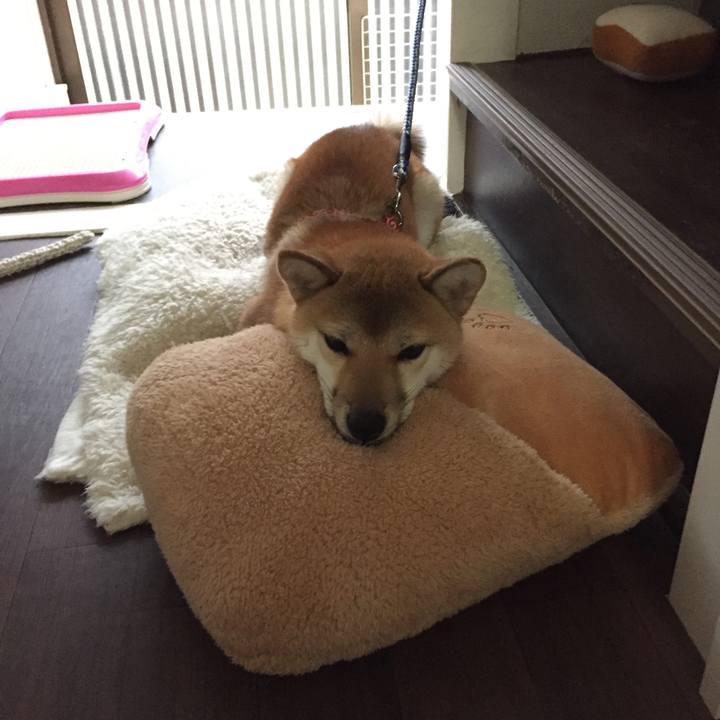 54b4ff93 8eca 4725 9227 5d18b2fe7858