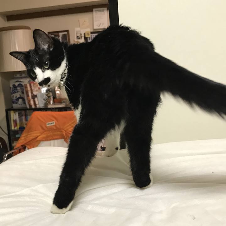 54b5ad6e f613 440f b5ae 1012e2346b4a