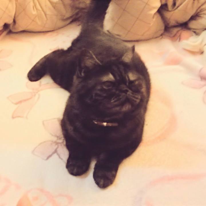 54b5d0cb 8585 4118 ae90 20348f293701