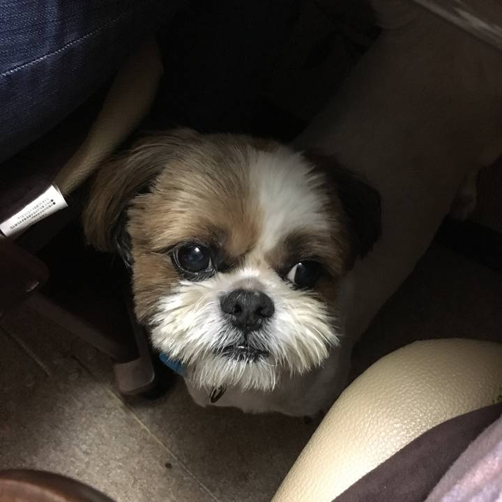 54b6536c 7aeb 44f0 a53a 9714ff63aaa9