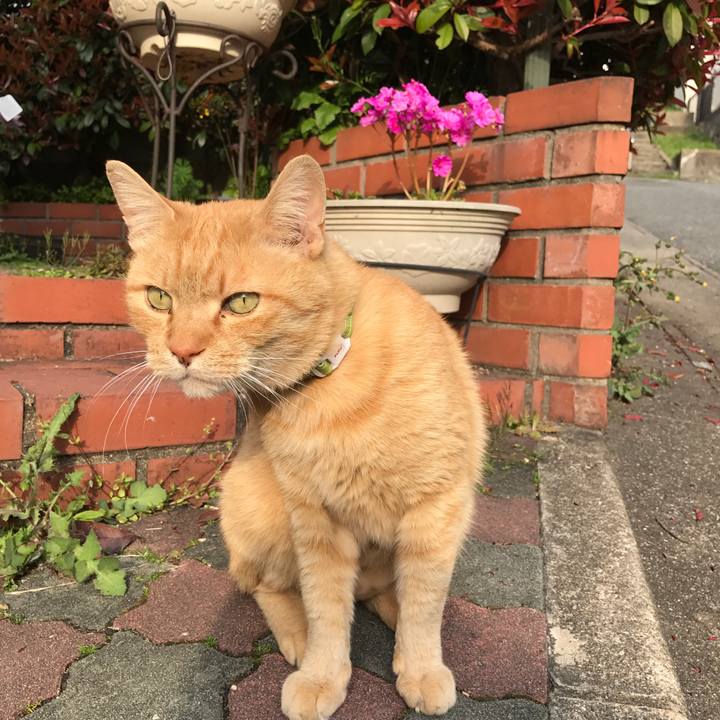 54b7c442 c66e 49a4 927c c968a8b225ac