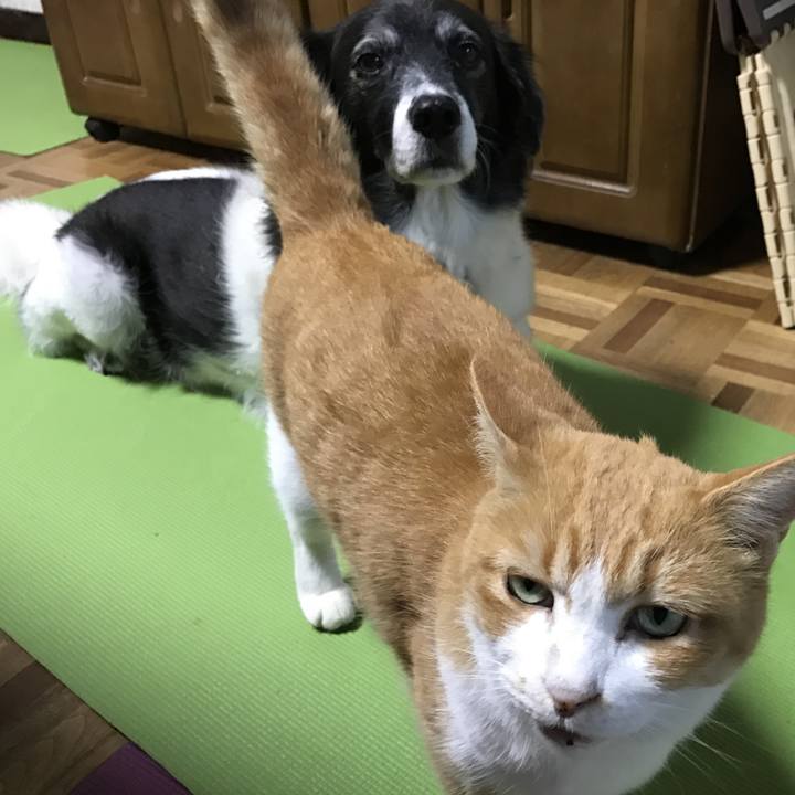 54b84dd1 34c7 4c4a a373 69c0d6ca226d