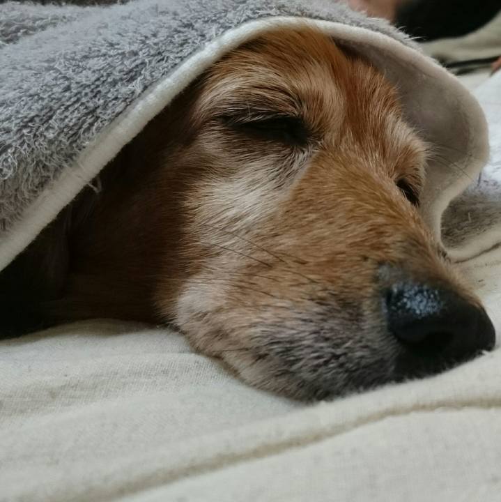 54b9a983 7524 4310 93c9 14b3a6d0603d