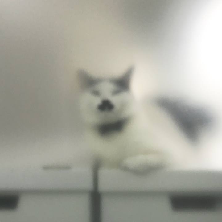 54b9af8e b36a 497a a0f2 96b3505b7906