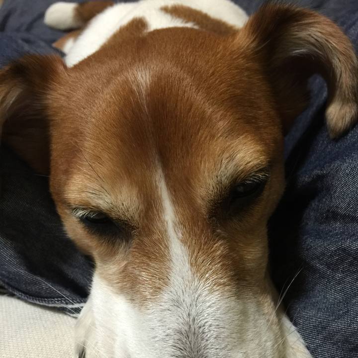 54bafa22 806f 4afe be66 16c768d49218