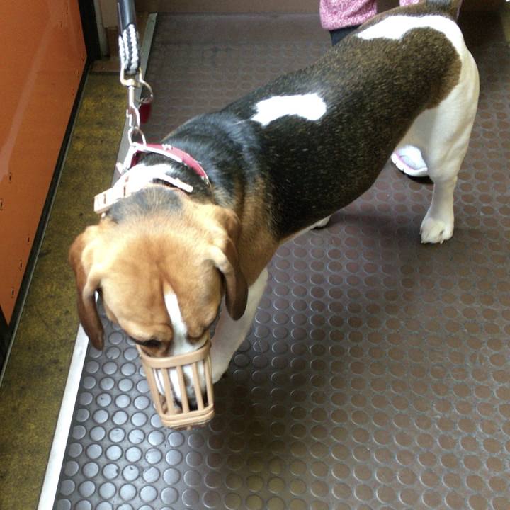 54bbb037 1ea4 4e6d a883 b378c47d2a19