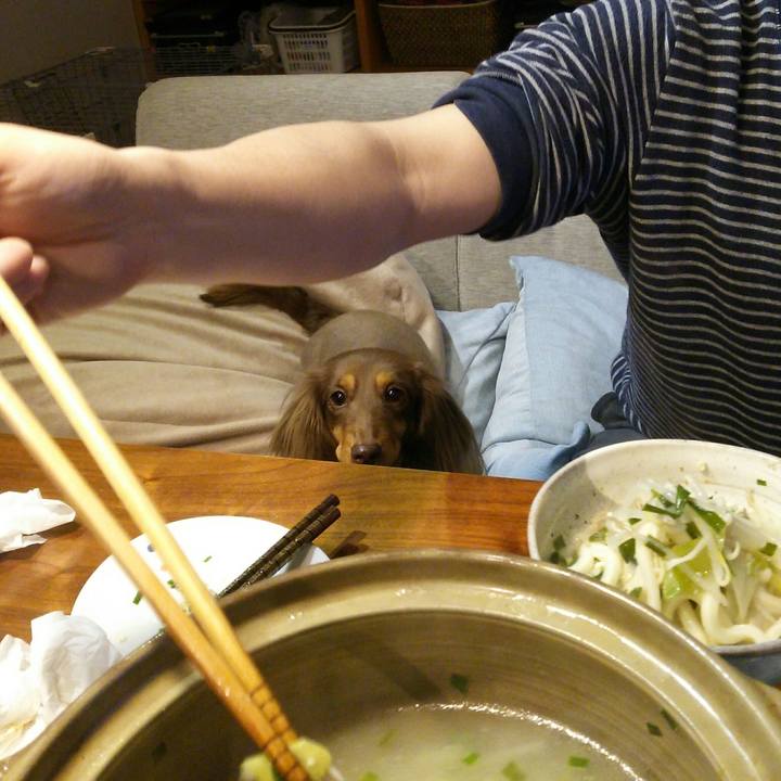 54bc10c9 d68e 4432 9d33 7d5931942fd8