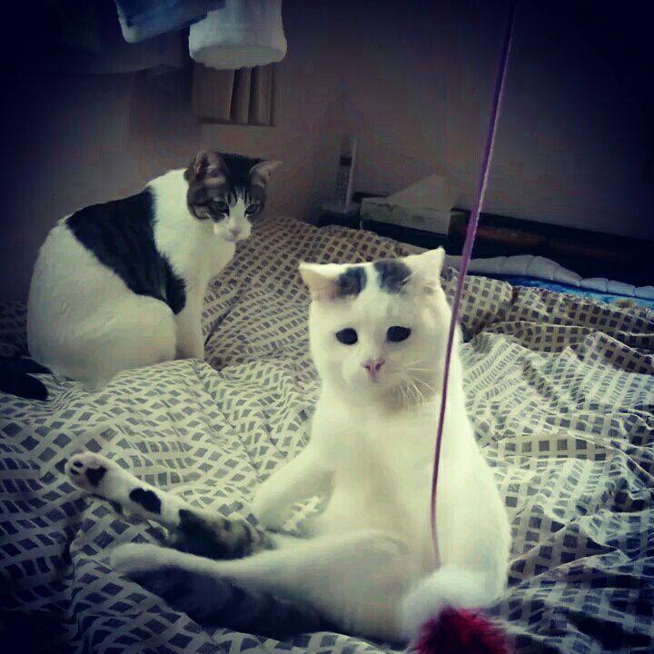 54bc246f 452b 45fa bf8e 21fa4047a956