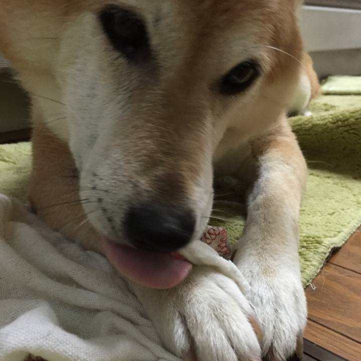 54bc32f7 e9ca 4f65 bf8a e53b3d086b76