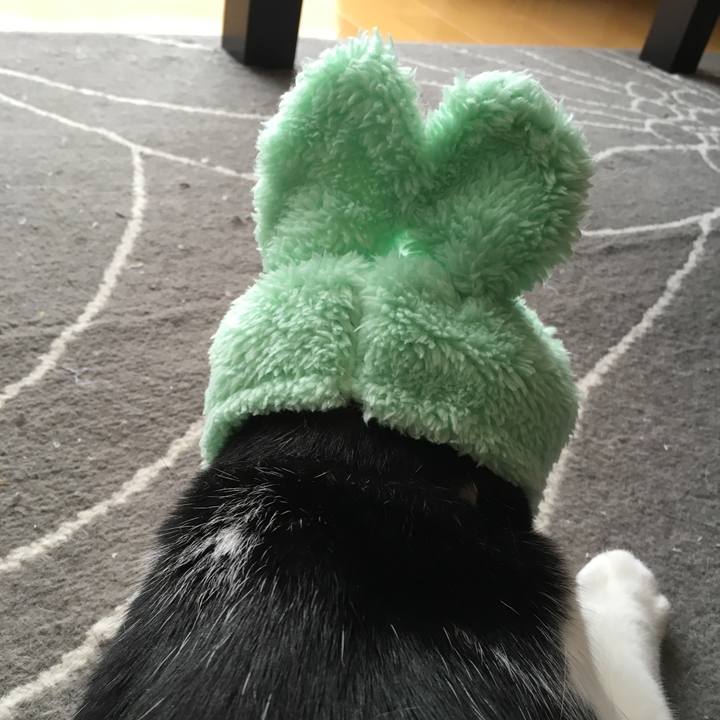 54bc926c 1e1b 4b73 bbba 5a3e155dc545