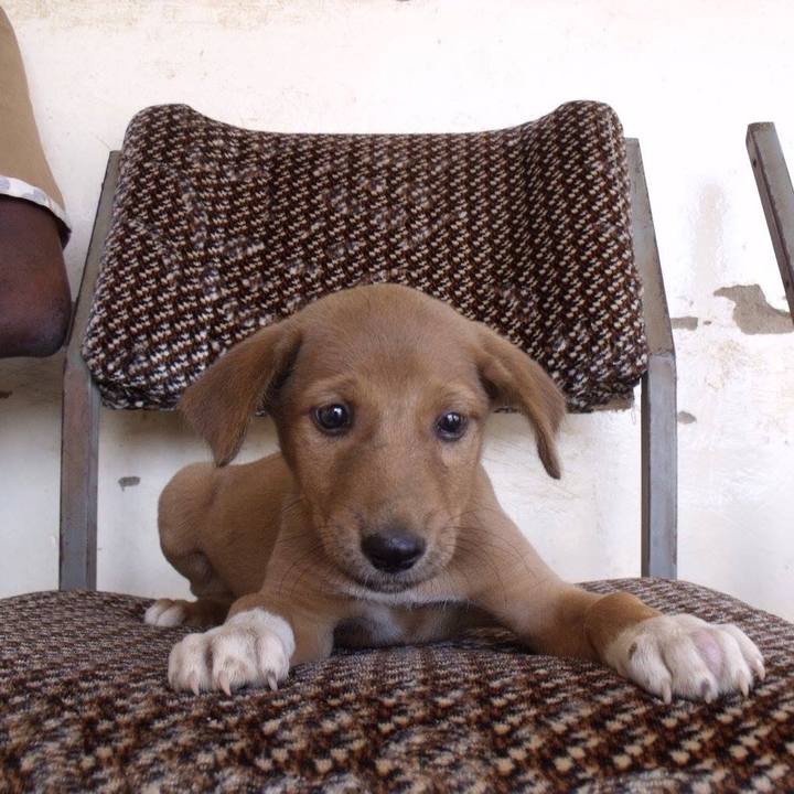 54bdac2f 2dcf 42fe a4a7 a1f9396dd518