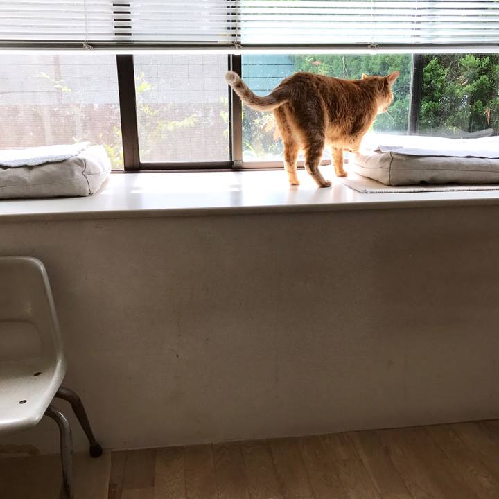 54bddd67 656e 4a89 8591 0d11bf868d55