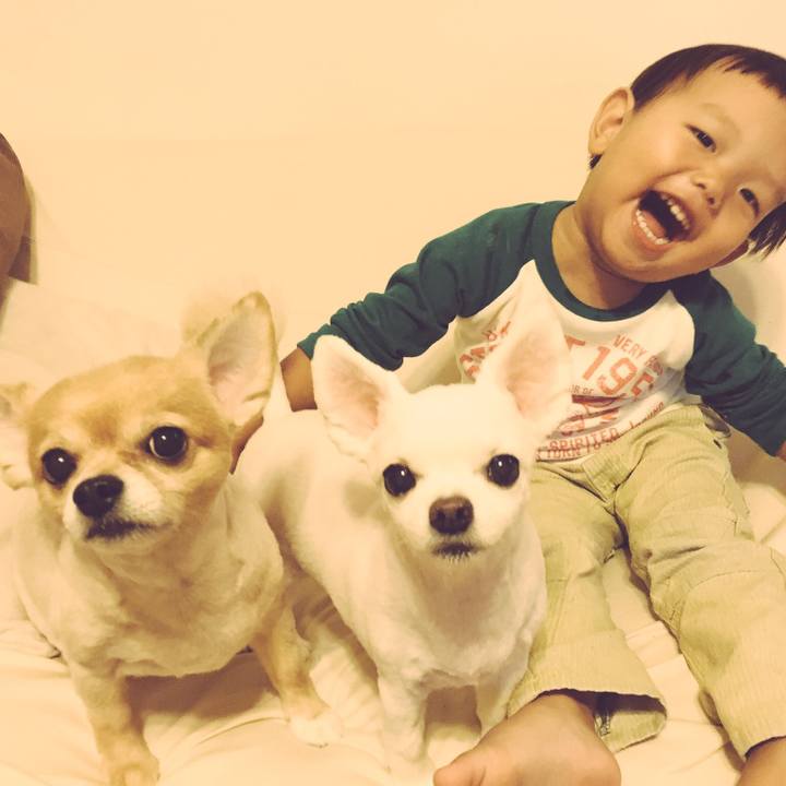 54be270a dd93 4cb3 8050 beafce89d9fe