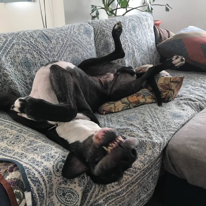 54be3682 656b 44d9 94a9 d5ce96d74213