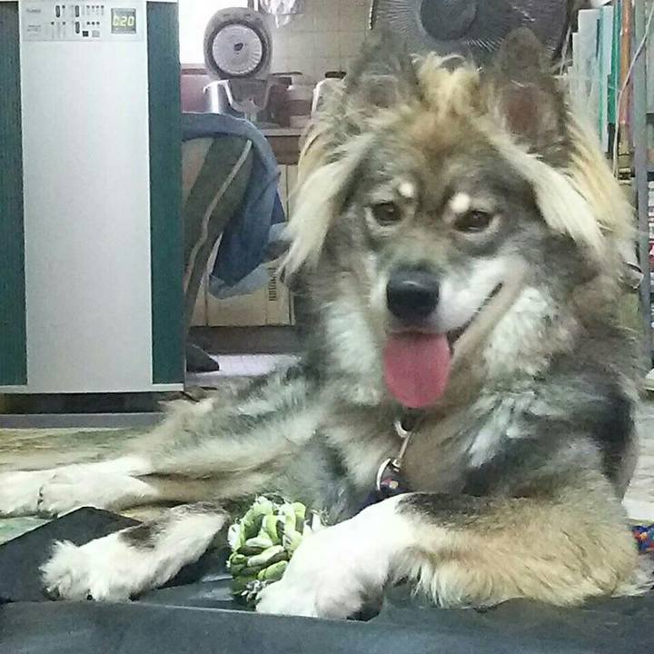 54beab14 6a3d 4e3a 863c 651706add408