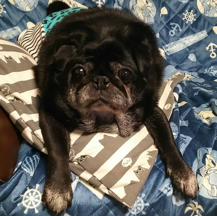 54bf778e f230 47fe bc72 266bd7392cfc