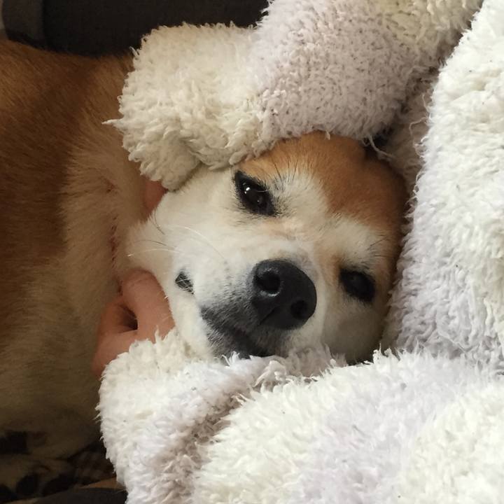 54bfe5dd 7f29 4d2d a88a d74530d1dd98