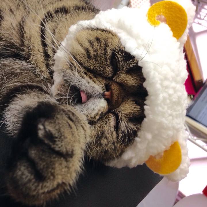 54c05c8d e390 42c5 8209 0849c7702bc2