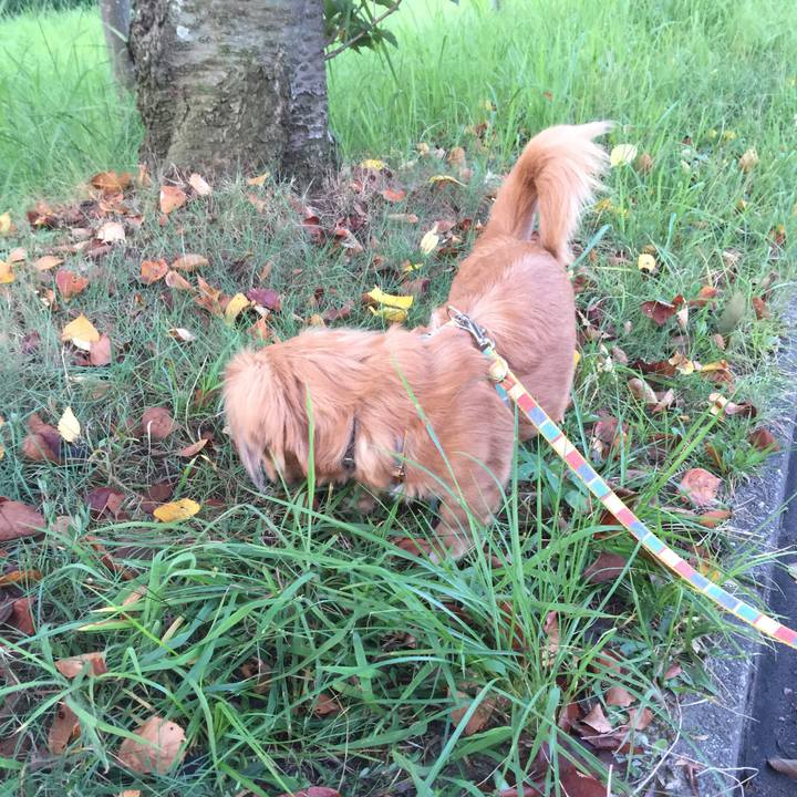 54c05d71 7f9f 4815 9ed7 1b40de7a79b6