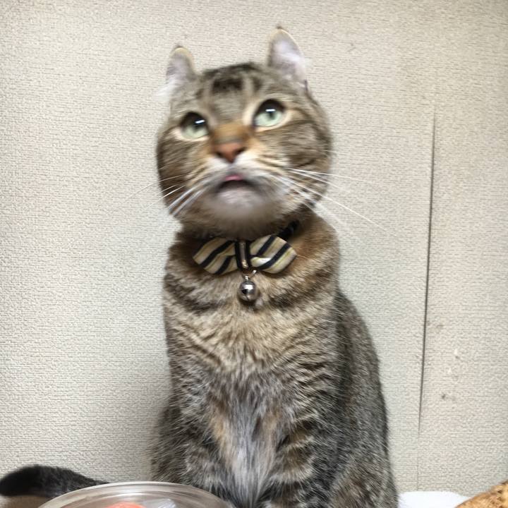 54c0bb6e 4c09 4beb 889f 6cb436f60c41