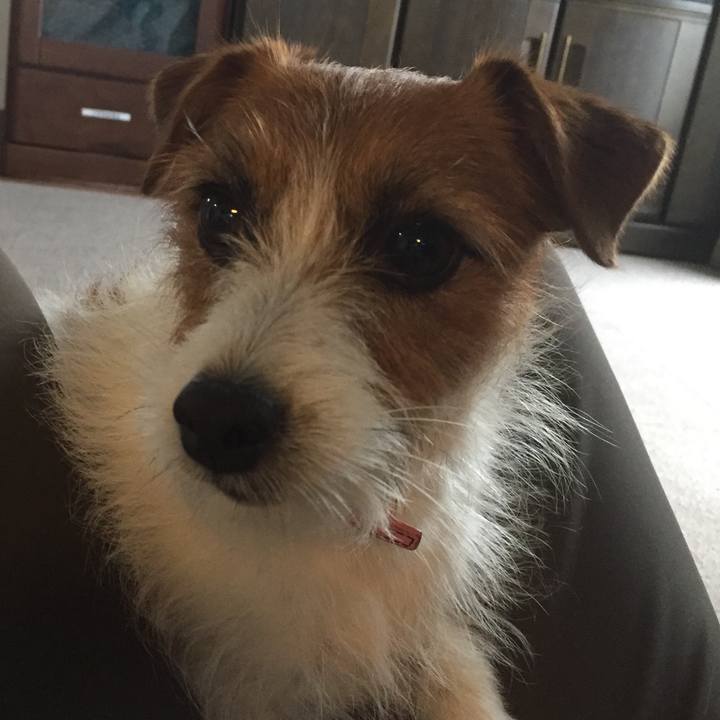 54c0da80 6662 4f96 ab80 ec0e7fc1c616