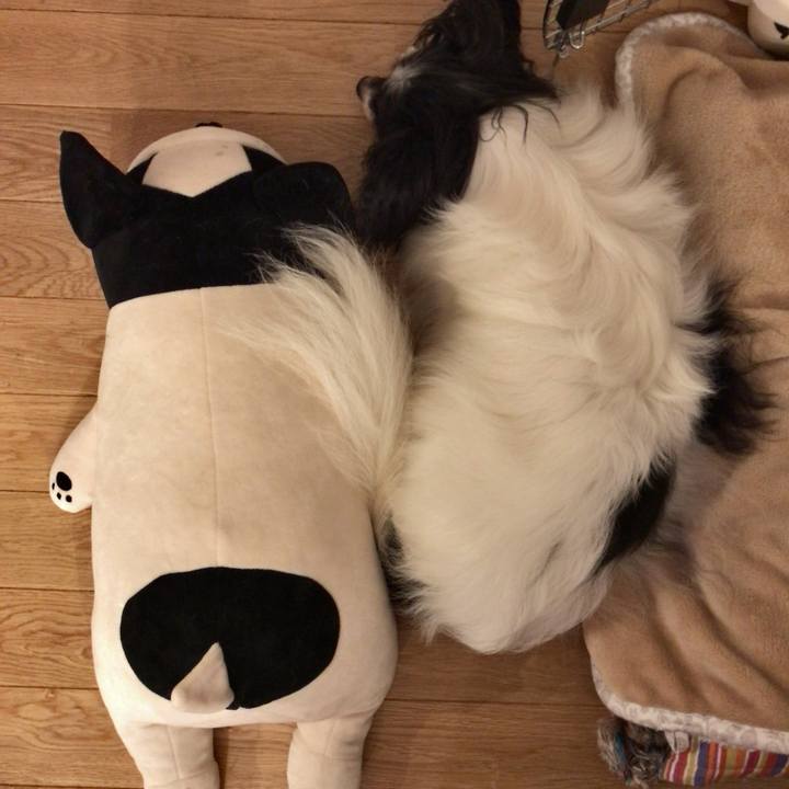 54c1850c ba18 4f94 b785 a1dd2f0d621f