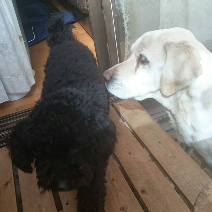 54c1baef c2ce 4ca4 b7bf 8fc040ead911