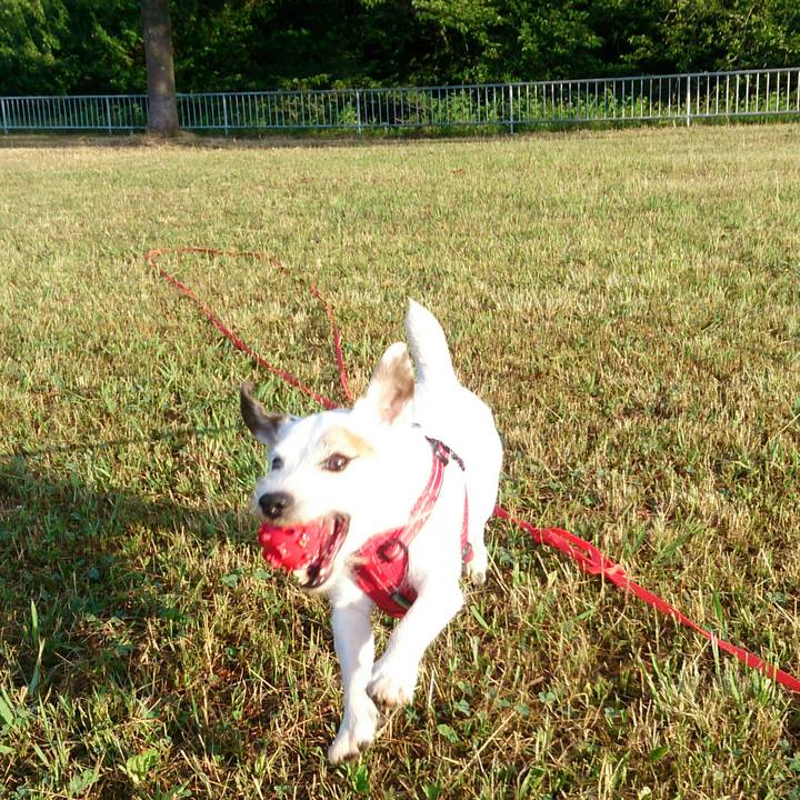 54c227a5 63d1 4ac8 bba5 c841080d4521