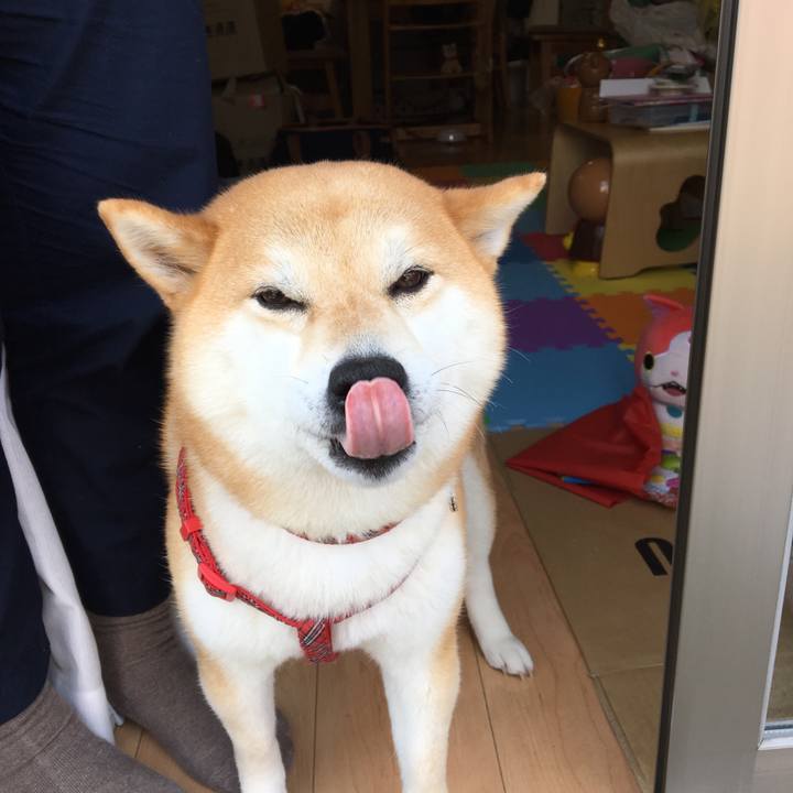 54c24932 0ab6 48f4 b4c4 23bd42356e06