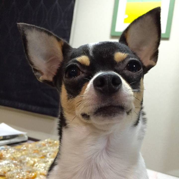 54c253c2 6851 4c7e a500 7915780274fc