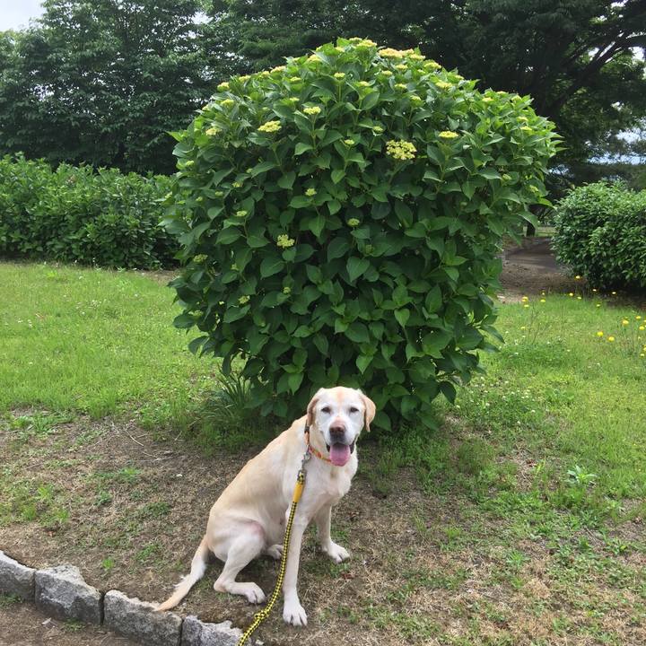 54c279d9 1abd 4426 873a feeea8a19ceb