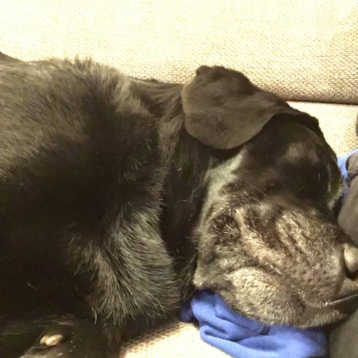 54c2be82 3e56 4f74 b7cc 3fefbcfcbc25